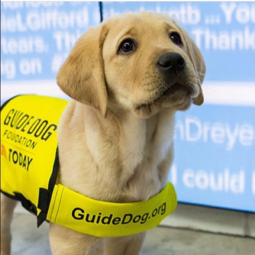 Meet your Posher, Stacey